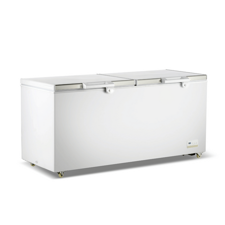 Thermaster 600L Chest Freezer With Stainless Steel Lid BD600F