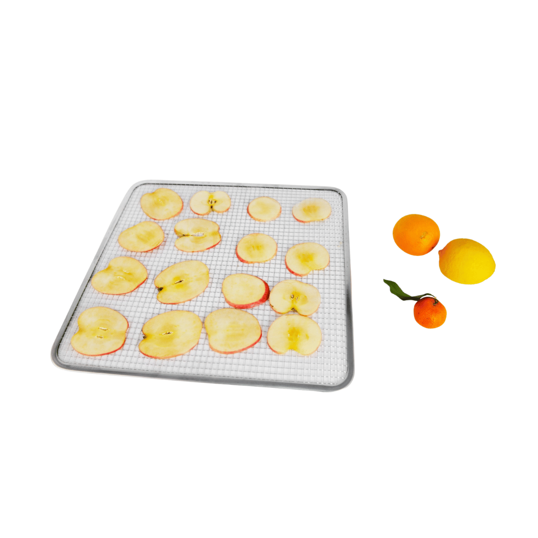 Benchstar Food Dehydrator with 16 trays – FD-16HB - Commercial Kitchen Appliances