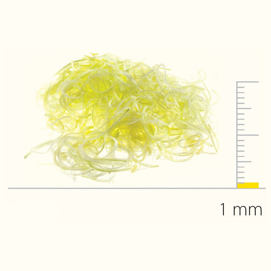 Dito Sama Stainless Steel Slicing Disc With S-Blades 1 Mm DS650082