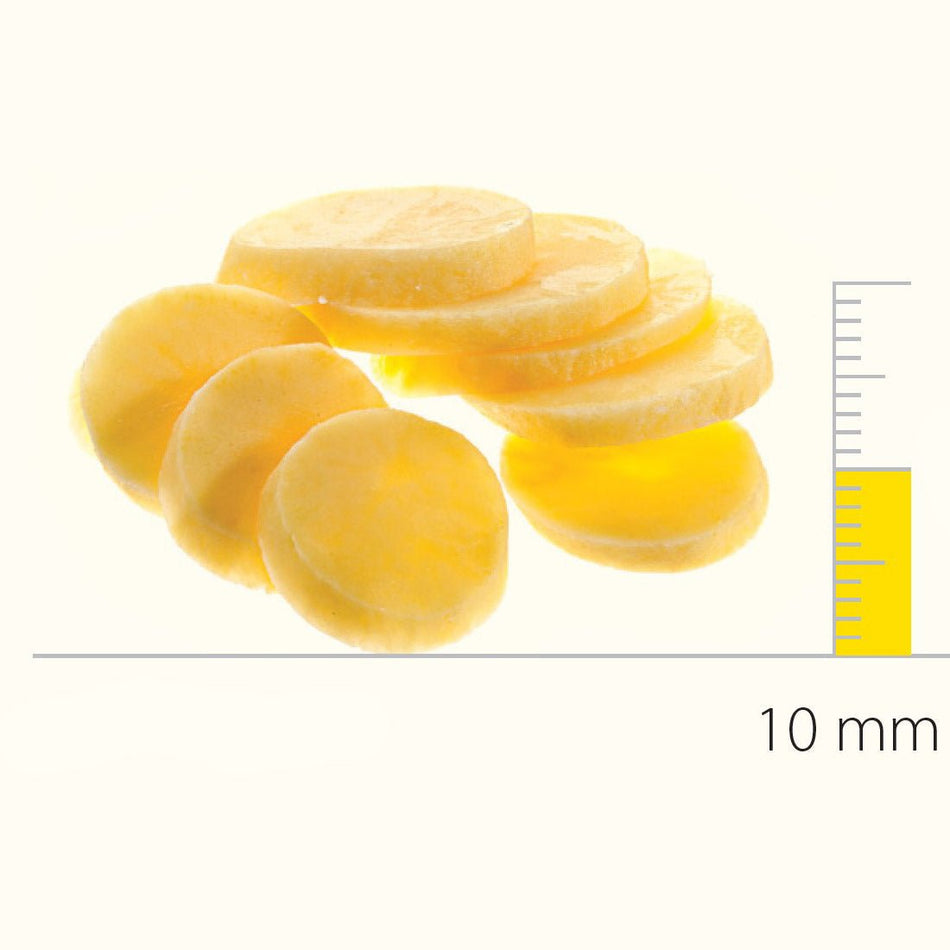 Dito Sama Stainless Steel Pressing/Slicing Disc With S-Blades (Balanced) 10 Mm DS650160