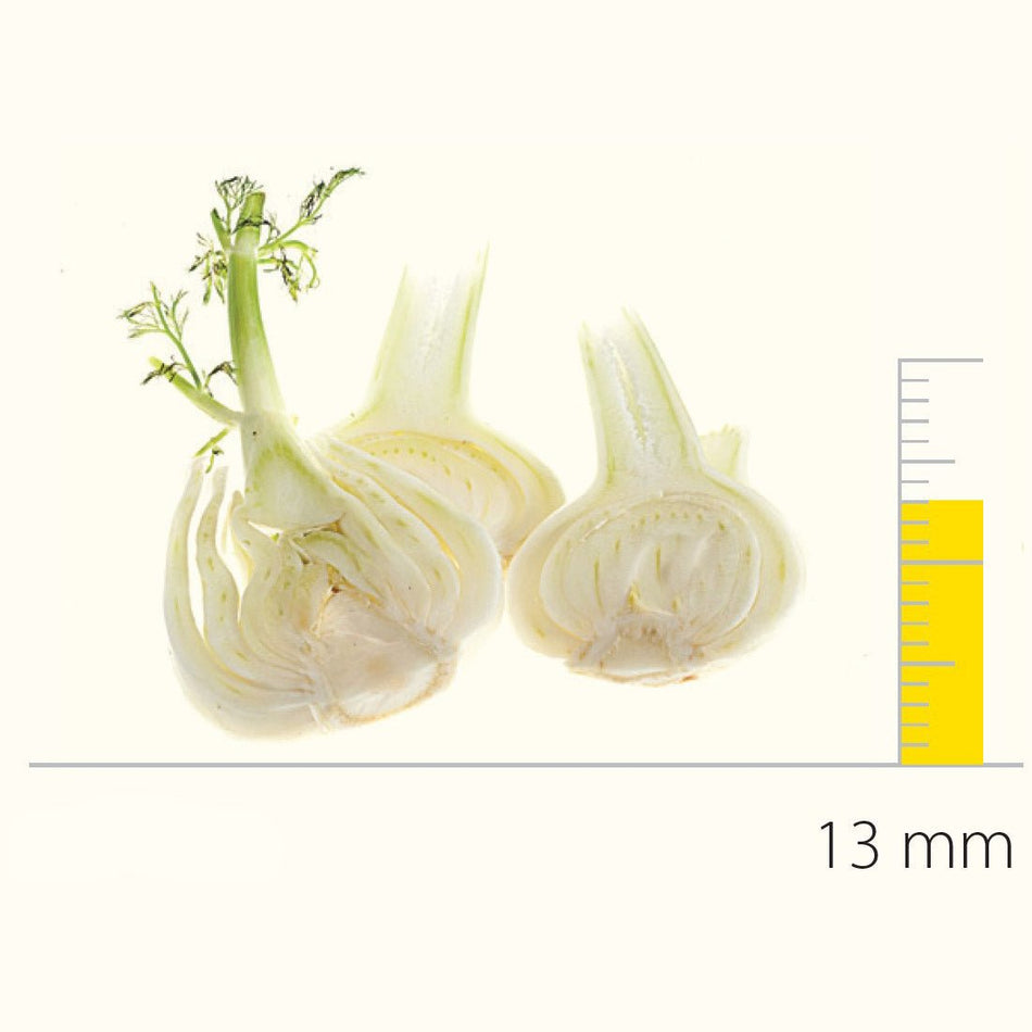 Dito Sama Stainless Steel Pressing/Slicing Disc With S-Blades (Balanced) 13 Mm DS650165