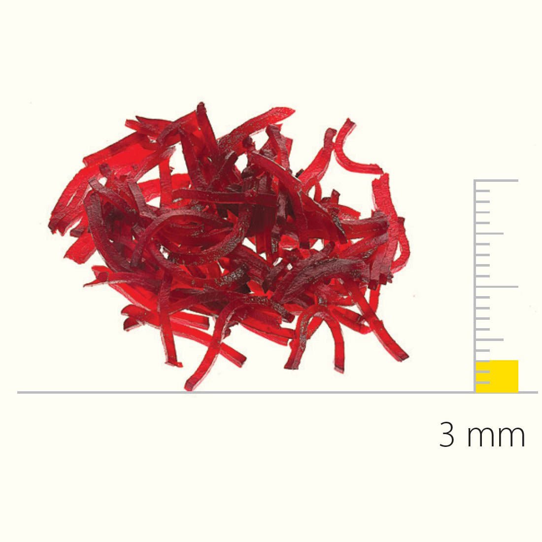 Dito Sama Stainless Steel Shredding Disc With S - Blades 3X3 Mm DS650167 - Commercial Kitchen Appliances