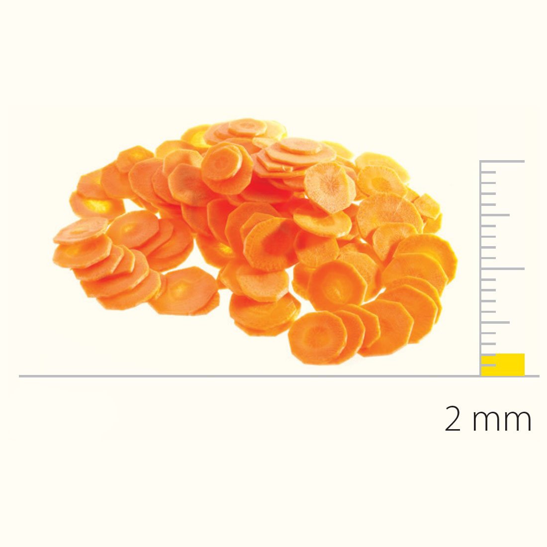 Dito Sama Stainless Steel Slicing Disc With S - Blades 2 Mm DS650083 - Commercial Kitchen Appliances