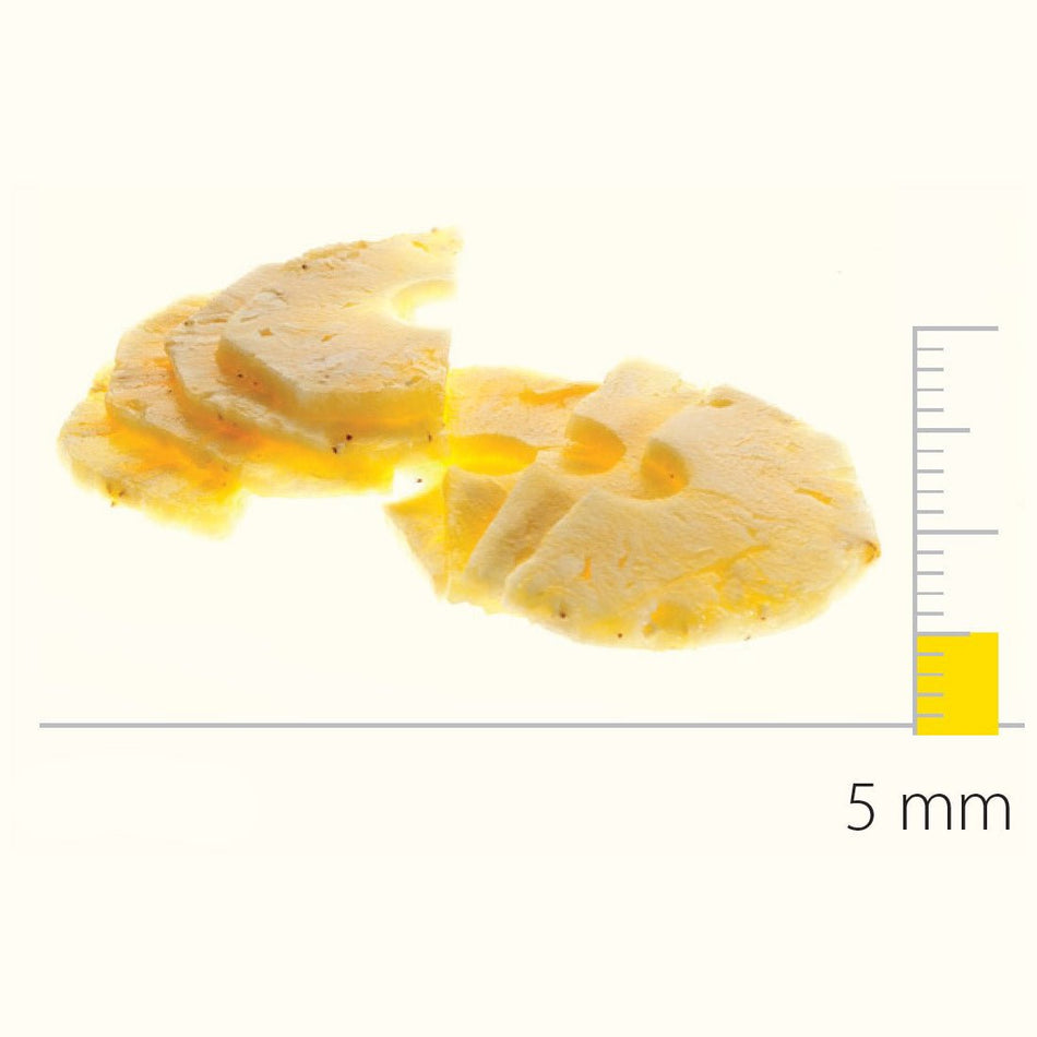 Dito Sama Stainless Steel Slicing Disc With S - Blades 5 Mm DS650086 - Commercial Kitchen Appliances