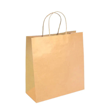 PakMax Medium Twist Handle Kraft Paper Bag RPFR-120-M Carton of 300 - supplier image 1