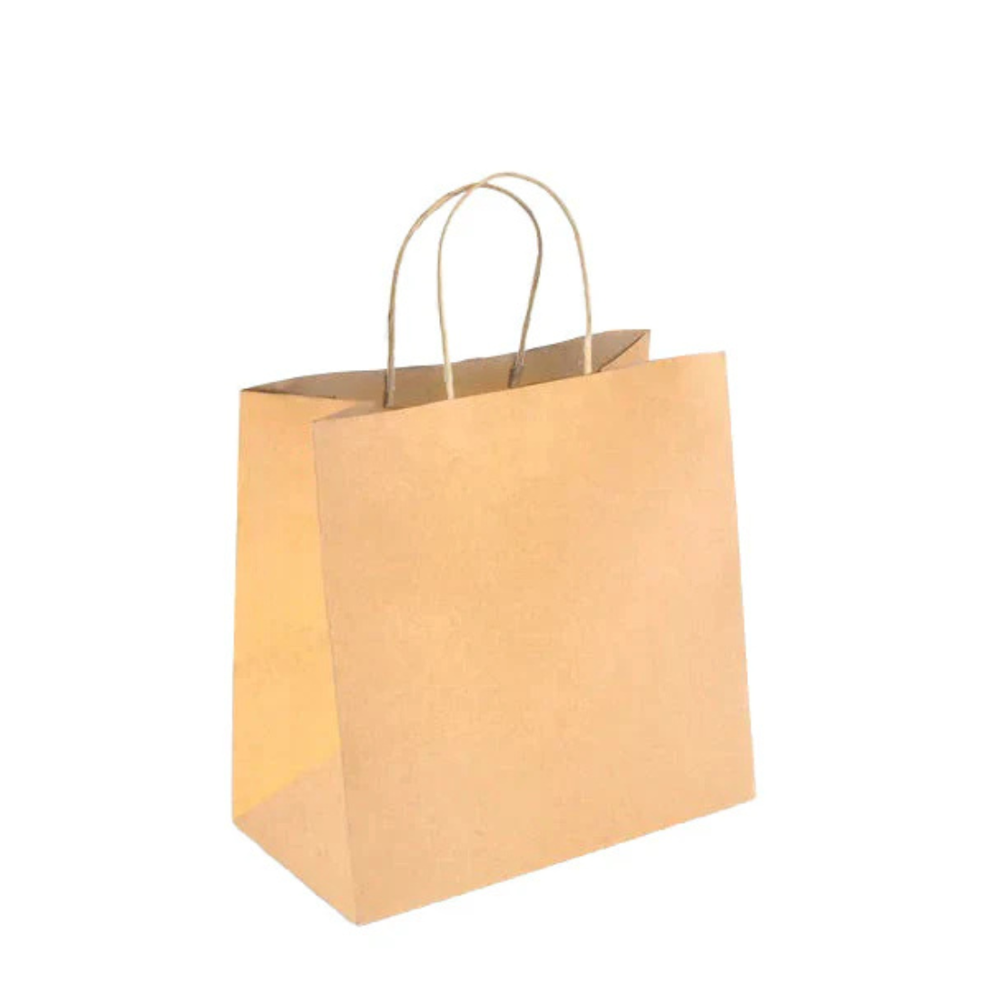 PakMax Small Twist Handle Kraft Paper Bag RPFR-120-S Carton of 300 - supplier image 1