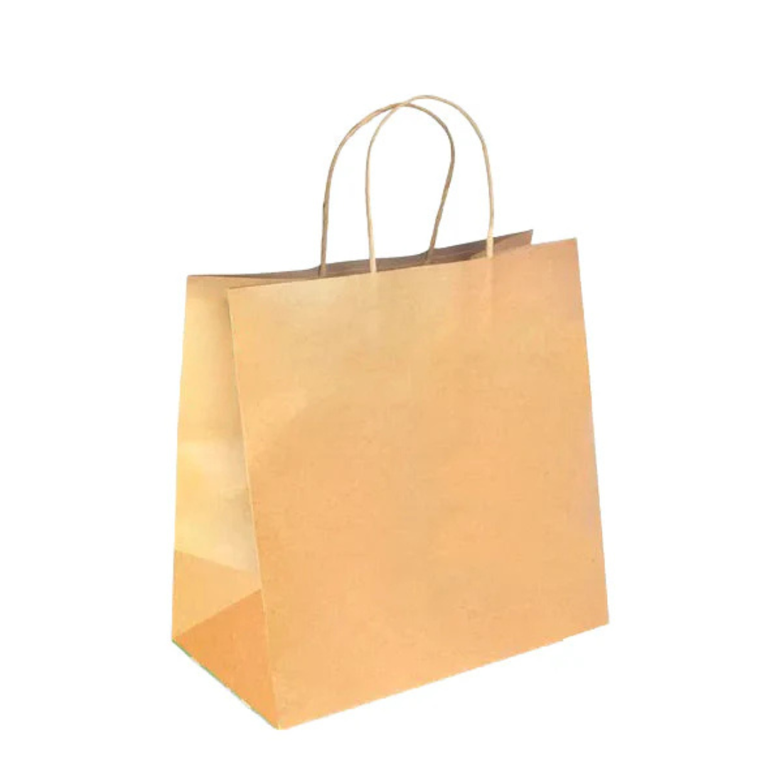 PakMax Large Twist Handle Kraft Paper Bag RPRR-120-L Carton of 300 - supplier image 1