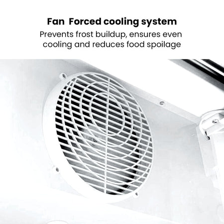 Thermaster 540L Single Glass Door Black Colourbond Upright Drink Fridge LG - 540BP - Commercial Kitchen Appliances