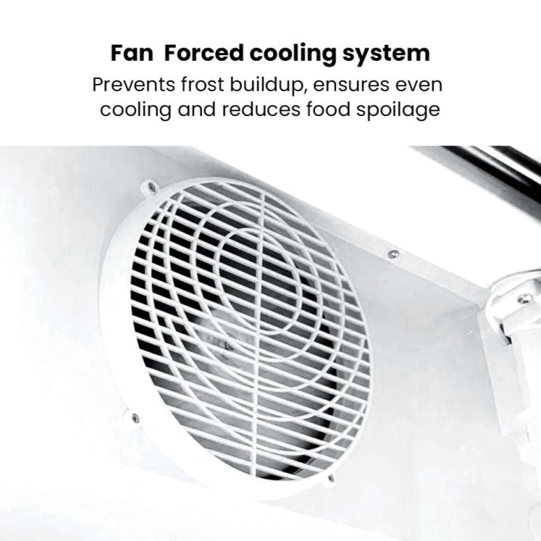 Thermaster 580L Double Glass Door Colourbond Upright Drink Fridge LG - 580P - Commercial Kitchen Appliances