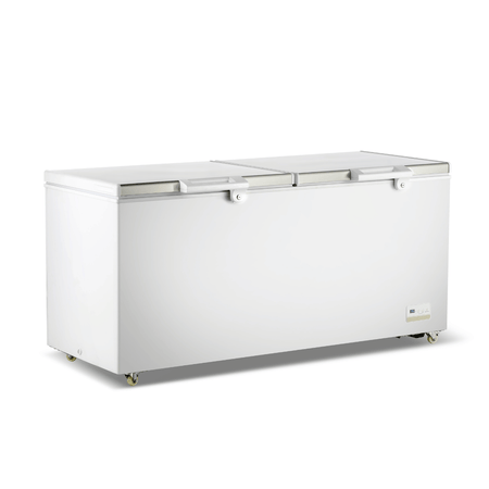 Thermaster BD600F 600L chest freezer — front view with closed stainless steel lids
