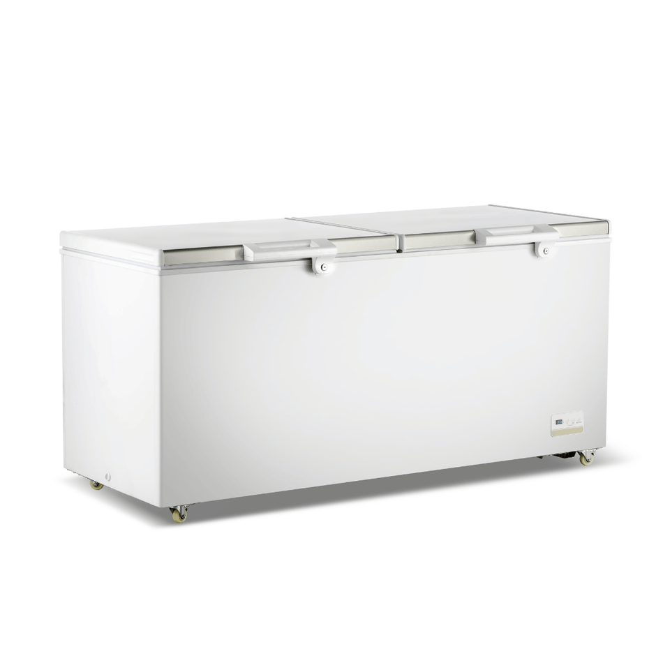 Thermaster BD600F 600L chest freezer — front view with closed stainless steel lids