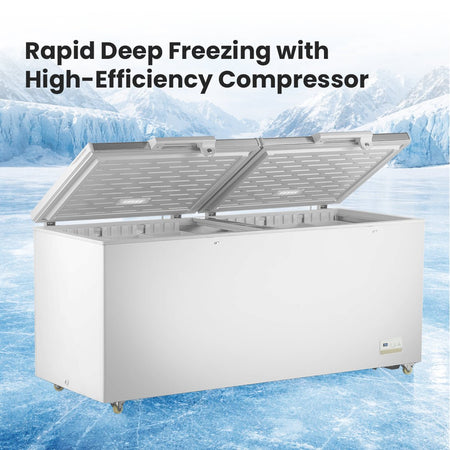 Thermaster 750L Chest Freezer With Stainless Steel Lid BD750F - Commercial Kitchen Appliances