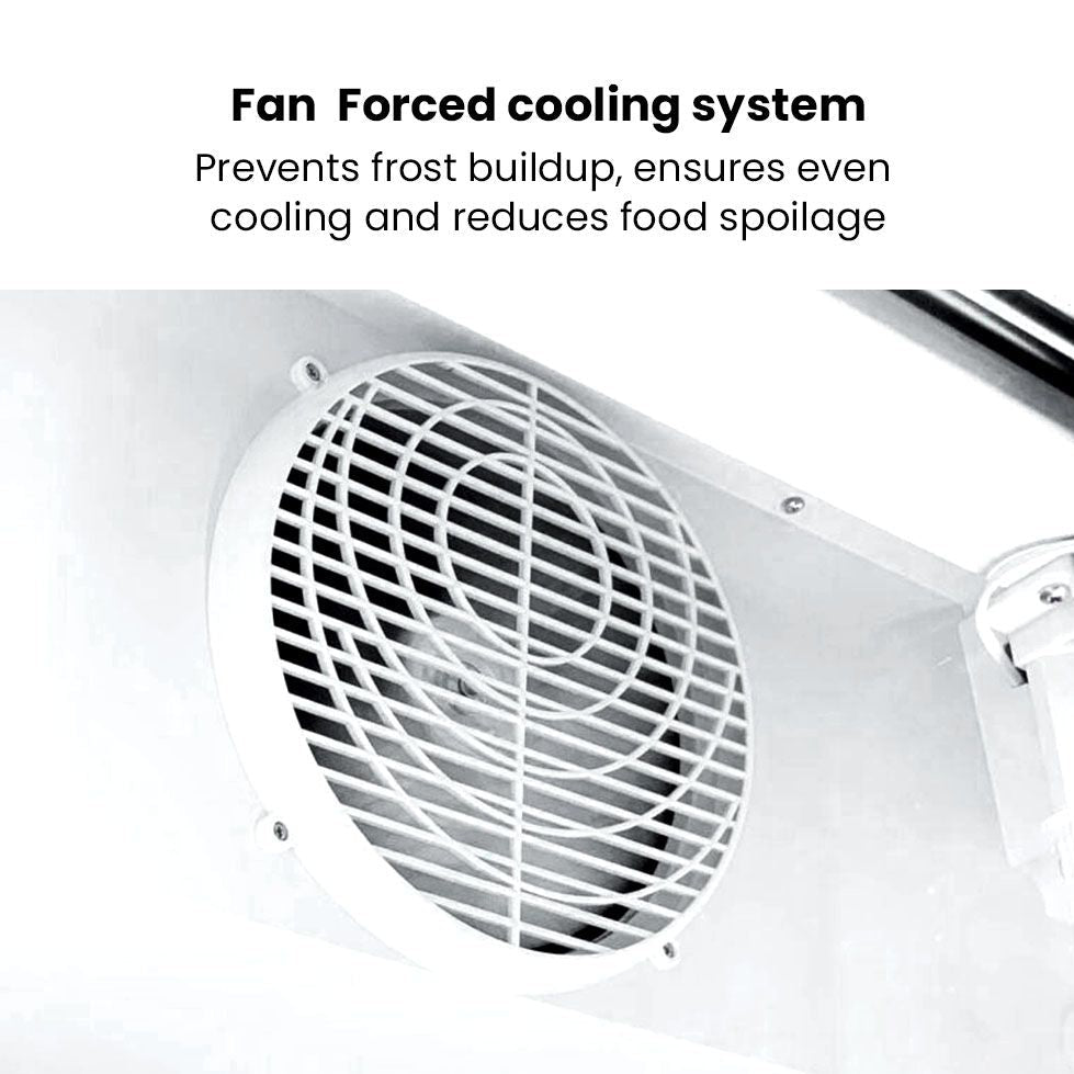 Thermaster 825L Colourbond Upright Beverage Fridge 2 Doors White LG - 1000P - Commercial Kitchen Appliances