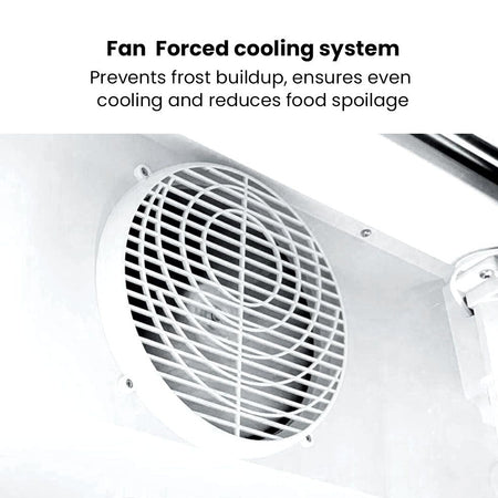 Thermaster Double Glass Door Colourbond Upright Drink Fridge LG - 580BP - Commercial Kitchen Appliances